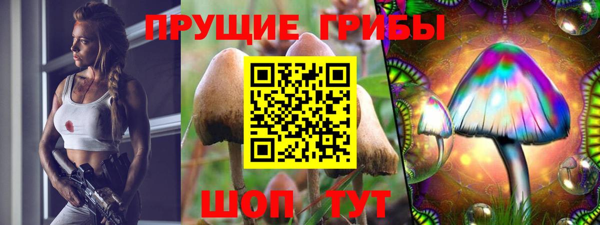 Галлюциногенные грибы ЛСД Гусев