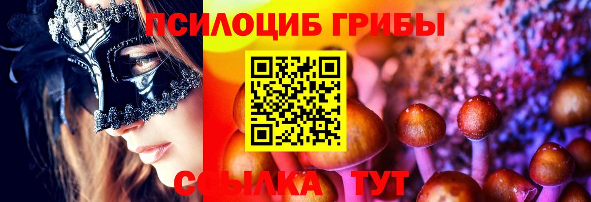 где можно купить   Вход с VPN  Гусев  Псилоцибиновые грибы Magic Shrooms 